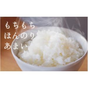 ふるさと納税 米 コシヒカリ 富山県 滑川市 ...の詳細画像5