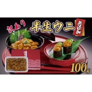 ふるさと納税 ウニ 岩手県 大船渡市 訳あり 半生うに 100g 冷凍 うに ウニ 雲丹 ...
