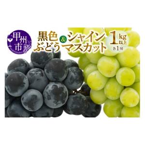 ふるさと納税 ぶどう マスカット 山梨県 甲州市 甲州市産旬の葡萄2房入り2色セット 1kg以上 2026年発送 （MG）B-493 シャインマスカット 葡萄 ぶどう ブドウ …