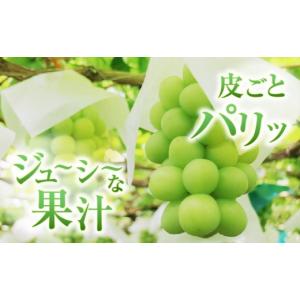 ふるさと納税 ぶどう マスカット 山梨県 甲州...の詳細画像3