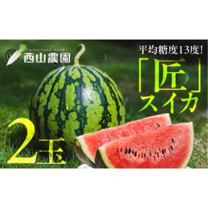 ふるさと納税 スイカ 愛知県 田原市 匠スイカ 先行予約 2玉 スイカ すいか 西瓜 夏 旬 匠 瓜フルーツ 果物 くだもの ギフト 田原市 渥美半島 ブランド甘い ス…