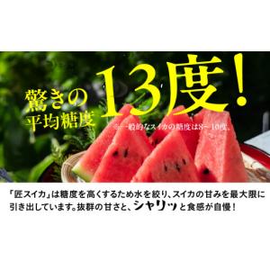 ふるさと納税 スイカ 愛知県 田原市 匠スイカ...の詳細画像1