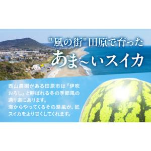 ふるさと納税 スイカ 愛知県 田原市 匠スイカ...の詳細画像2