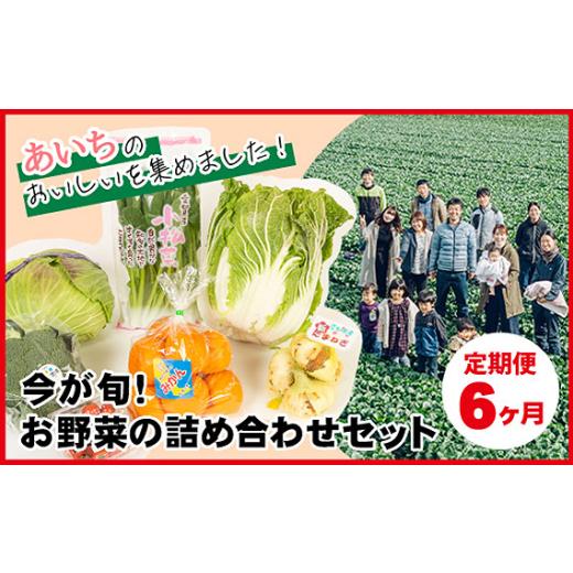 ふるさと納税 セット・詰合せ 愛知県 阿久比町  6ヶ月定期便 今が旬 お野菜の詰め合わせセット ／...