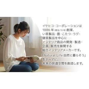 ふるさと納税 雑貨・日用品 福岡県 大木町 ウ...の詳細画像4
