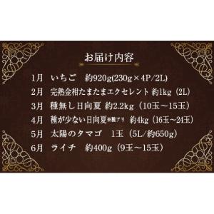 ふるさと納税 果物の詰合せ 宮崎県 新富町 青...の詳細画像2