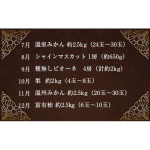 ふるさと納税 果物の詰合せ 宮崎県 新富町 青...の詳細画像3