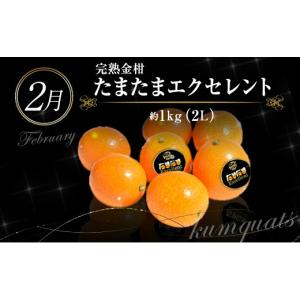 ふるさと納税 果物の詰合せ 宮崎県 新富町 青...の詳細画像4