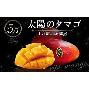 ふるさと納税 果物の詰合せ 宮崎県 新富町 青...の詳細画像5