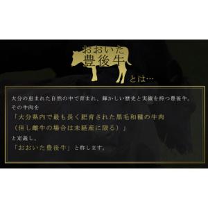 ふるさと納税 牛肉 しゃぶしゃぶ 大分県 姫島...の詳細画像4
