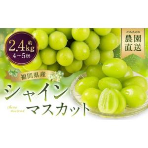 ふるさと納税 ぶどう マスカット 福岡県 筑後...の詳細画像1