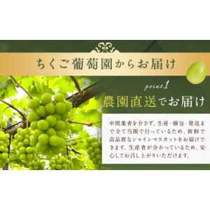 ふるさと納税 ぶどう マスカット 福岡県 筑後...の詳細画像2