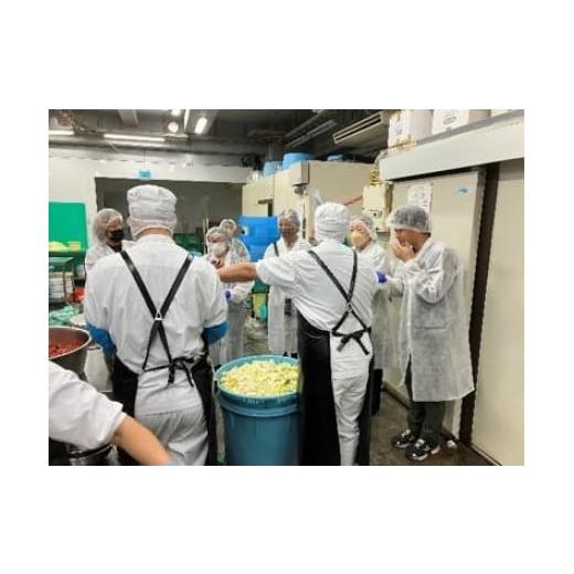 ふるさと納税 体験チケット 神奈川県 川崎市 川崎名物キムチ専門店『おつけもの慶』工場見学およびキム...