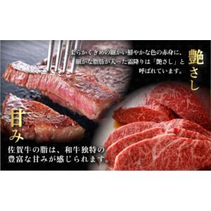 ふるさと納税 牛肉 ヒレ 佐賀県 大町町 定期...の詳細画像4