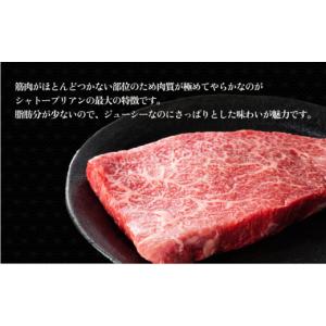 ふるさと納税 牛肉 ヒレ 佐賀県 大町町 定期...の詳細画像5