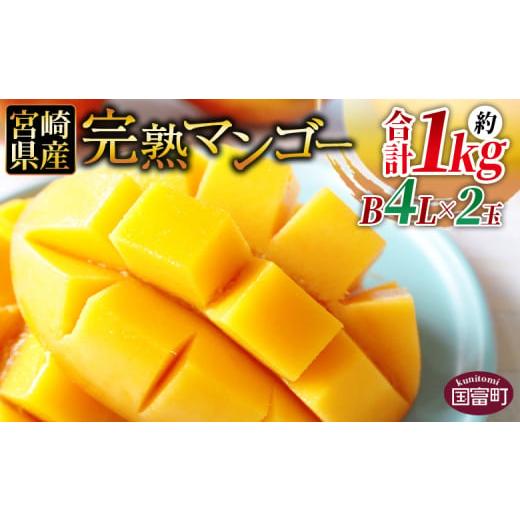 ふるさと納税 マンゴー 宮崎県 国富町 数量限定 2026年発送 宮崎県産 完熟マンゴー B等級 B...