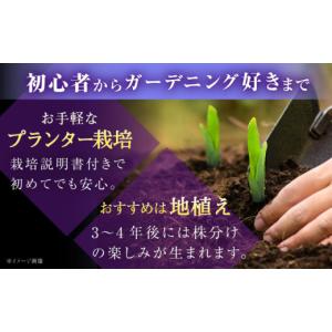 ふるさと納税 雑貨・日用品 花 島根県 雲南市...の詳細画像5