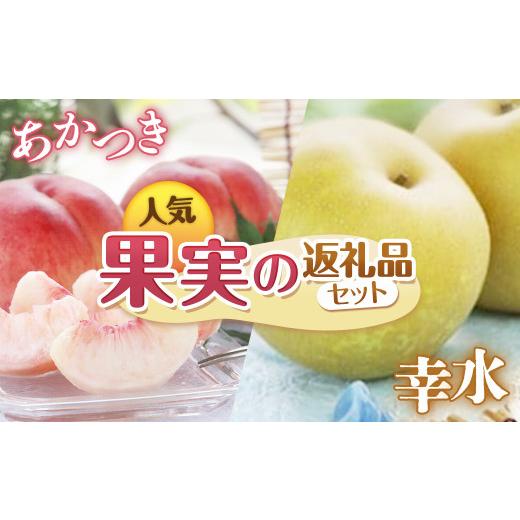 ふるさと納税 もも 長野県 豊丘村  2026年発送先行予約 南信州産 定期便2回送り　人気果実の返...