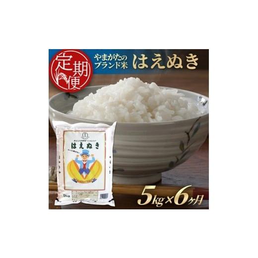 ふるさと納税 米 はえぬき 山形県 酒田市  6ヶ月定期便 はえぬき 5kg×6ヶ月連続 計30kg...