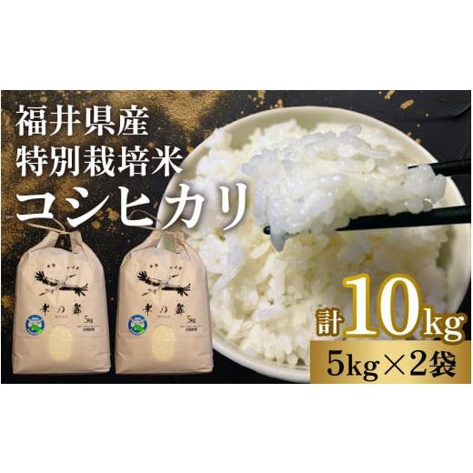 ふるさと納税 米 ミルキークイーン 福井県 小浜市 先行予約 /11月以降発送 令和7年産 特別栽...