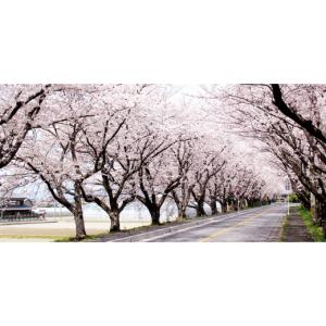 ふるさと納税 豚肉 ハンバーグ 三重県 木曽岬...の詳細画像5