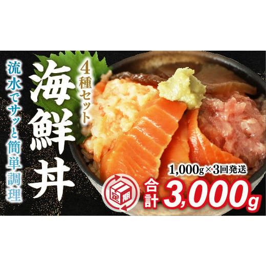 ふるさと納税 魚貝類 山口県 山口市 D328 定期便3回 海鮮丼4品人気セット　1kg（ネギトロ他...
