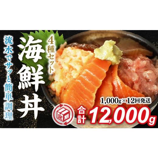 ふるさと納税 魚貝類 山口県 山口市 A076 定期便12回 海鮮丼4品人気セット　1kg（ネギトロ...