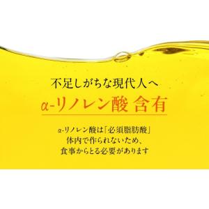 ふるさと納税 食用油 岐阜県 高山市 飛騨生搾...の詳細画像3