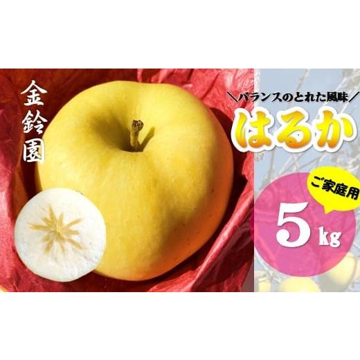 ふるさと納税 りんご 岩手県 北上市  北上市産 はるか ＼ 11月下旬発送予定 ／ 家庭用 5キロ...