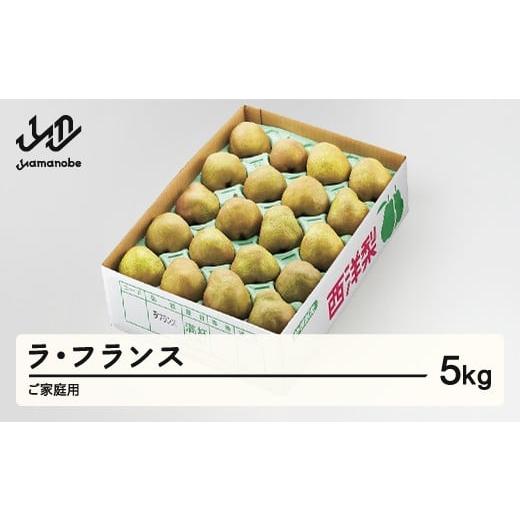 ふるさと納税 梨 山形県 山辺町  先行予約 ラ・フランス ご家庭用 約5kg(8~20個程度) 洋...