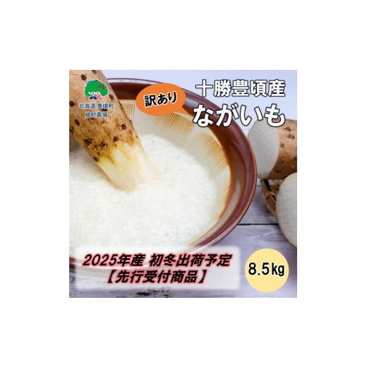 ふるさと納税 人参・大根・他根菜 北海道 豊頃町  訳あり 十勝豊頃産 ながいも8.5kg 2025...