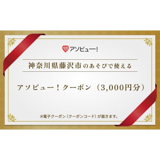 ふるさと納税 イベントやチケット等 神奈川県 藤沢市 ふるさとチョイス限定 アソビュー ふるさと納税...
