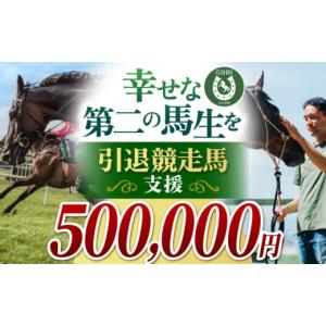 ふるさと納税 生き物 佐賀県 江北町 幸せな第二の馬生を 引退競走馬支援 500,000円 CLUB RIO 支援 動物支援 動物保護 流鏑馬 返礼品なし HBY009