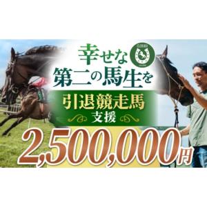 ふるさと納税 生き物 佐賀県 江北町 幸せな第二の馬生を 引退競走馬支援 2,500,000円 CLUB RIO 支援 動物支援 動物保護 流鏑馬 返礼品なし HBY011