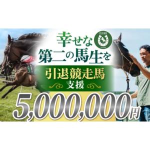 ふるさと納税 生き物 佐賀県 江北町 幸せな第二の馬生を 引退競走馬支援 5,000,000円 CLUB RIO 支援 動物支援 動物保護 流鏑馬 返礼品なし HBY012