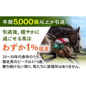 ふるさと納税 生き物 佐賀県 江北町 幸せな第...の詳細画像2