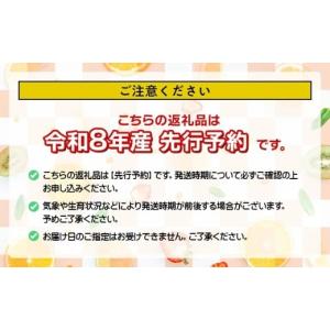 ふるさと納税 果物類 ぶどう 山形県 鶴岡市 ...の詳細画像4