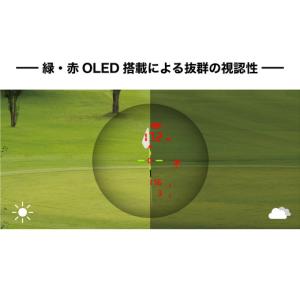 ふるさと納税 ゴルフグッズ 埼玉県 深谷市 期...の詳細画像2
