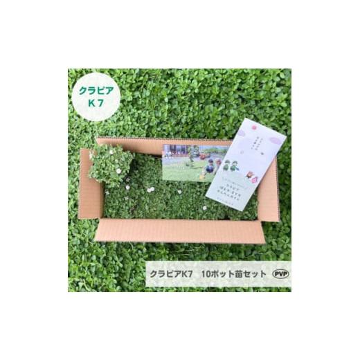 ふるさと納税 花・苗木 栃木県 小山市 グランドカバー植物「クラピアK7」10ポット苗セット お申込...