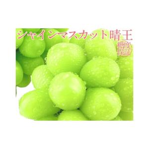ふるさと納税 ぶどう マスカット 岡山県 倉敷市 シャインマスカット 晴王 2房 約1.2kg 4回 定期便 7月・8月・9月・10月に1回ずつお届け 2026年7月下旬発送開始…