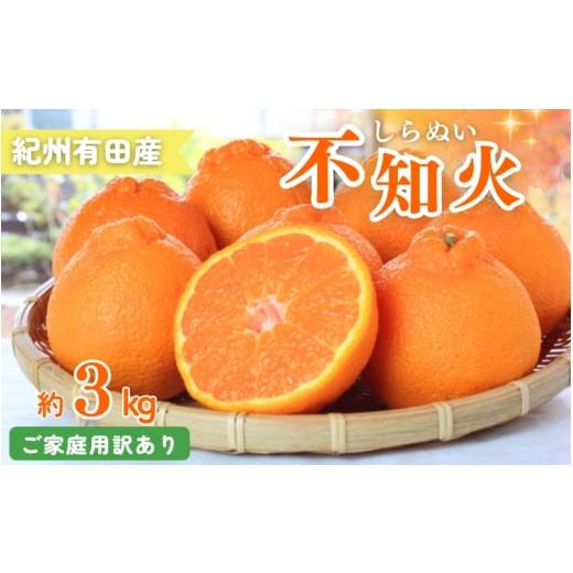 ふるさと納税 みかん・柑橘類 デコポン 和歌山県 由良町 ご家庭用訳あり 紀州有田産不知火(しらぬ...