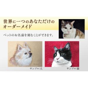 ふるさと納税 雑貨・日用品 島根県 松江市 オ...の詳細画像2