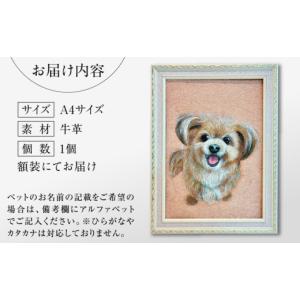 ふるさと納税 雑貨・日用品 島根県 松江市 オ...の詳細画像3