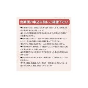 ふるさと納税 花・苗木 花束 神奈川県 小田原...の詳細画像5