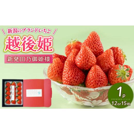 ふるさと納税 いちご 新潟県 新発田市  2026年3月下旬発送開始 いちご 越後姫 １パック 果物...