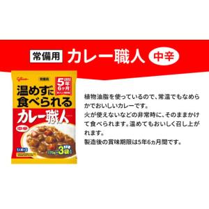 ふるさと納税 スポーツ・アウトドア 宮城県 加...の詳細画像2