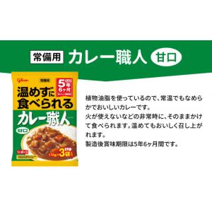 ふるさと納税 アウトドアグッズ 登山・トレッキ...の詳細画像2