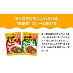ふるさと納税 アウトドアグッズ 登山・トレッキ...の詳細画像3