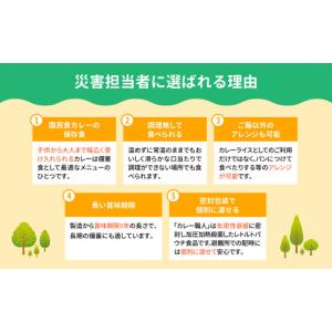 ふるさと納税 アウトドアグッズ 登山・トレッキ...の詳細画像5