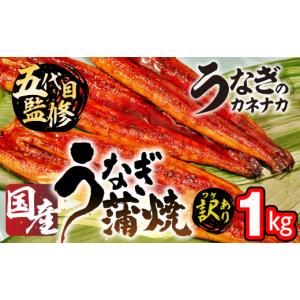 ふるさと納税 うなぎ 愛知県 豊橋市 国産うなぎ蒲焼 1kg 訳あり 蒲焼 うなぎ 鰻 unagi ウナギ 蒲焼 訳あり 不揃い わけあり ワケアリ 規格外 家庭用 自宅用 愛…